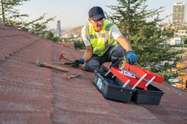 Best Yard Waste Removal  in San Luis Obispo, CA